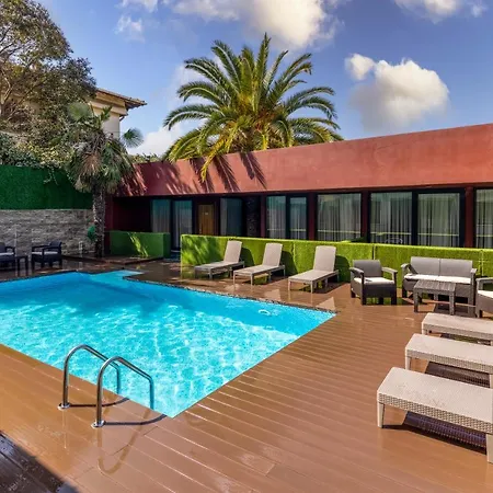 Baymari Florya Stambuł